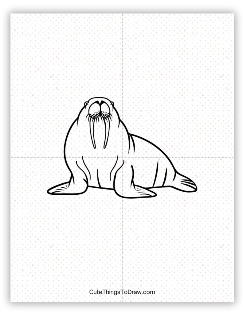 Realistic walrus to draw