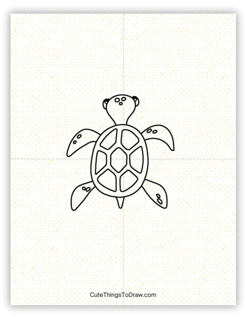 Sea turtle drawing